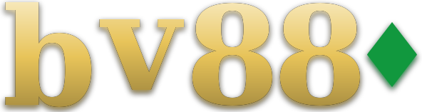 bv880 logo